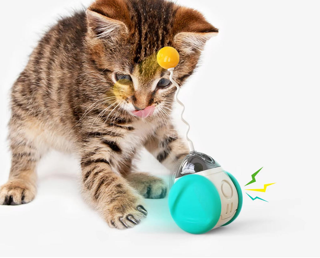 Pet Interactive Wobble Squeaky Toy