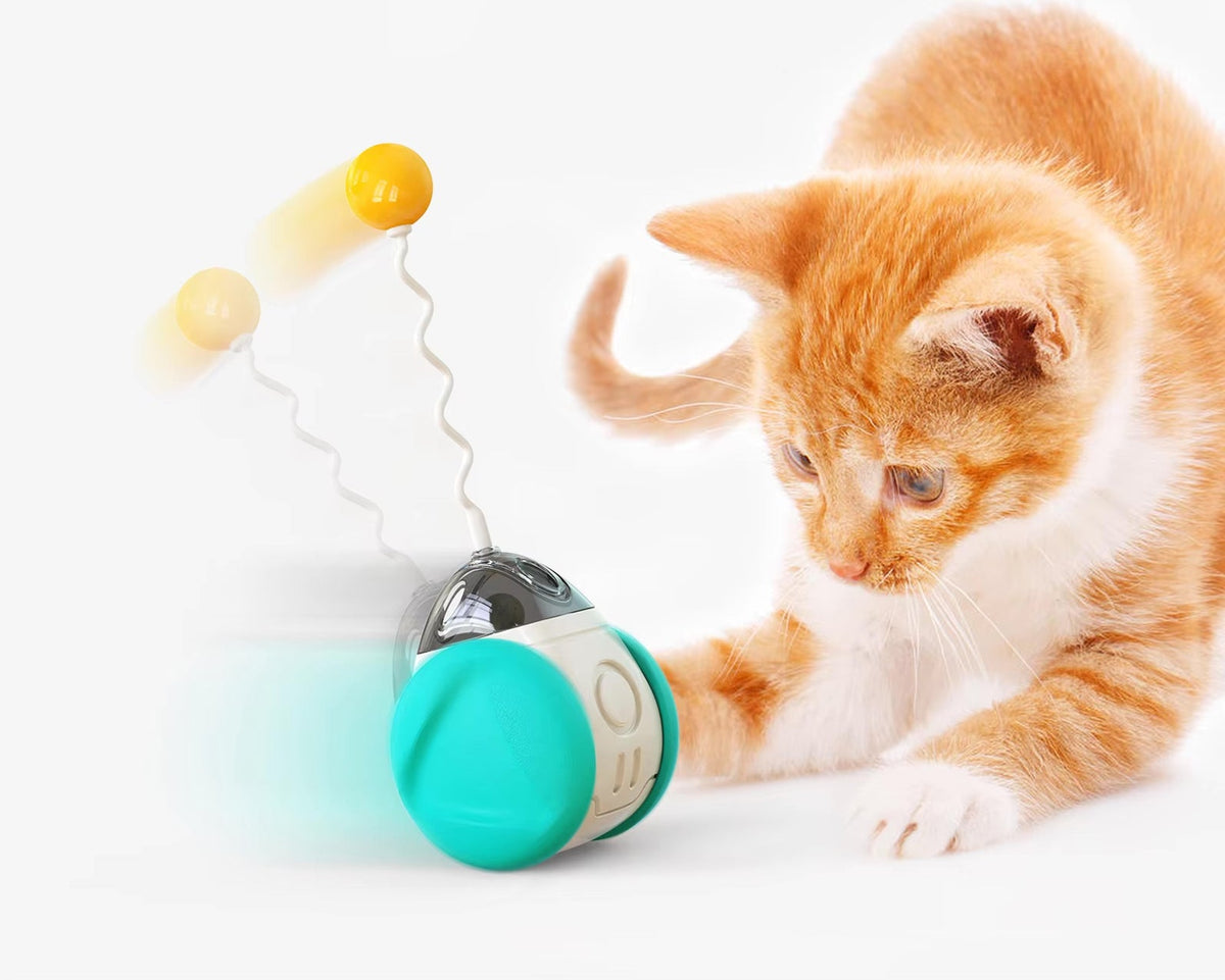 Pet Interactive Wobble Squeaky Toy