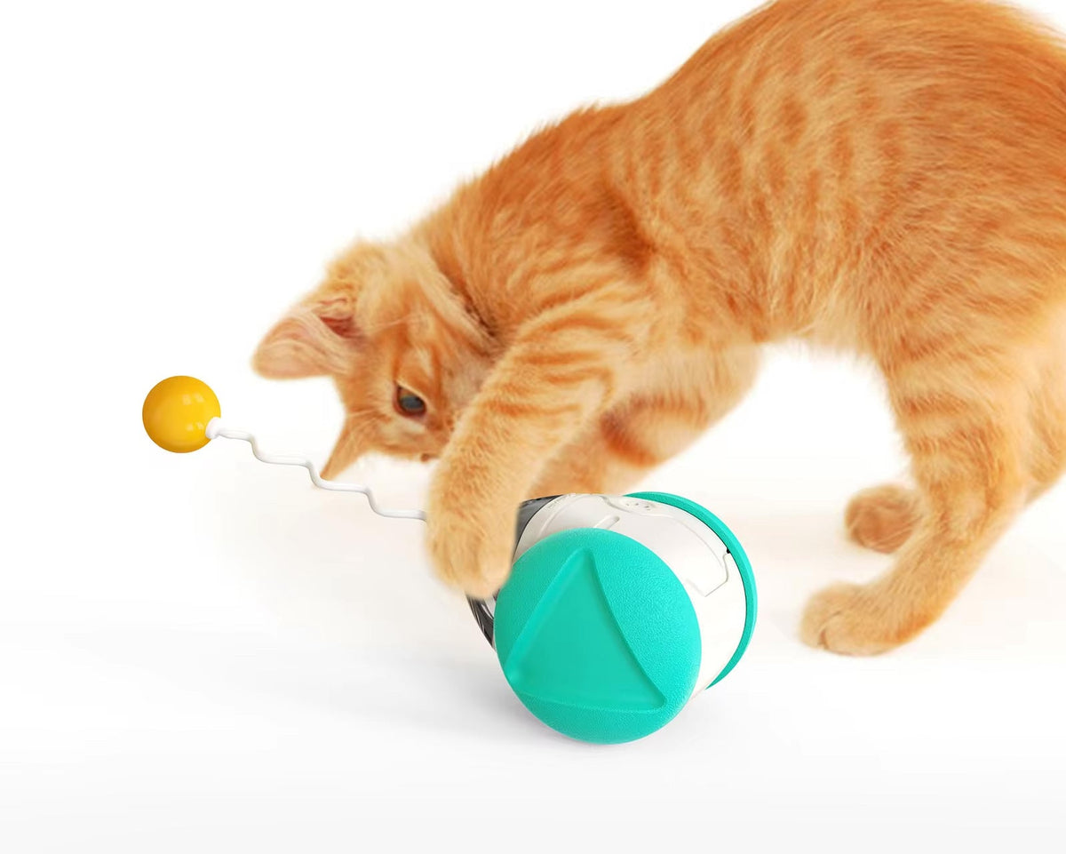 Pet Interactive Wobble Squeaky Toy