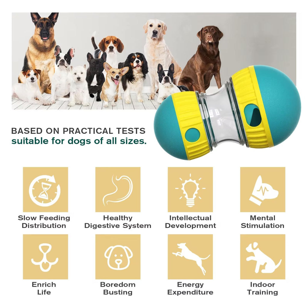 Dog Oval Slow Feeder Toy