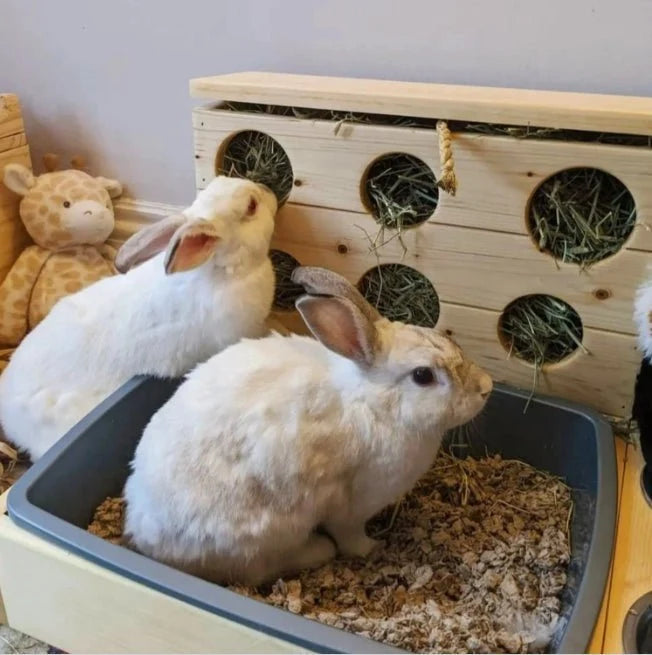 Six Hole Rabbit Hay Feeder & Litter Pan Combo