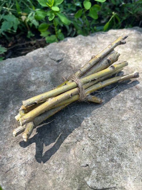 Willow Branch Bundle for Rabbits
