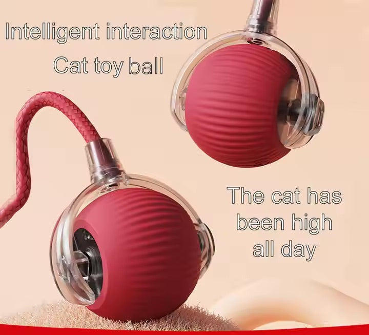 Pet Vibrating Bouncing Ball Toy with Tail