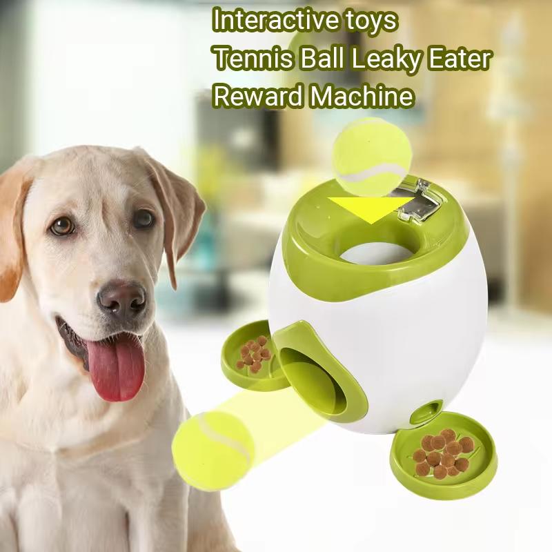 Dog Treat Dispensing Ball Toy