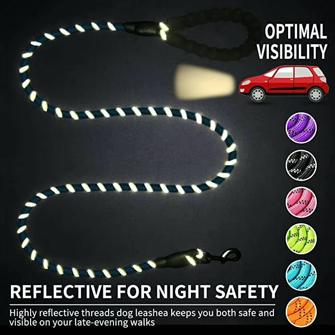 Reflective Dog Leash for Night Walks