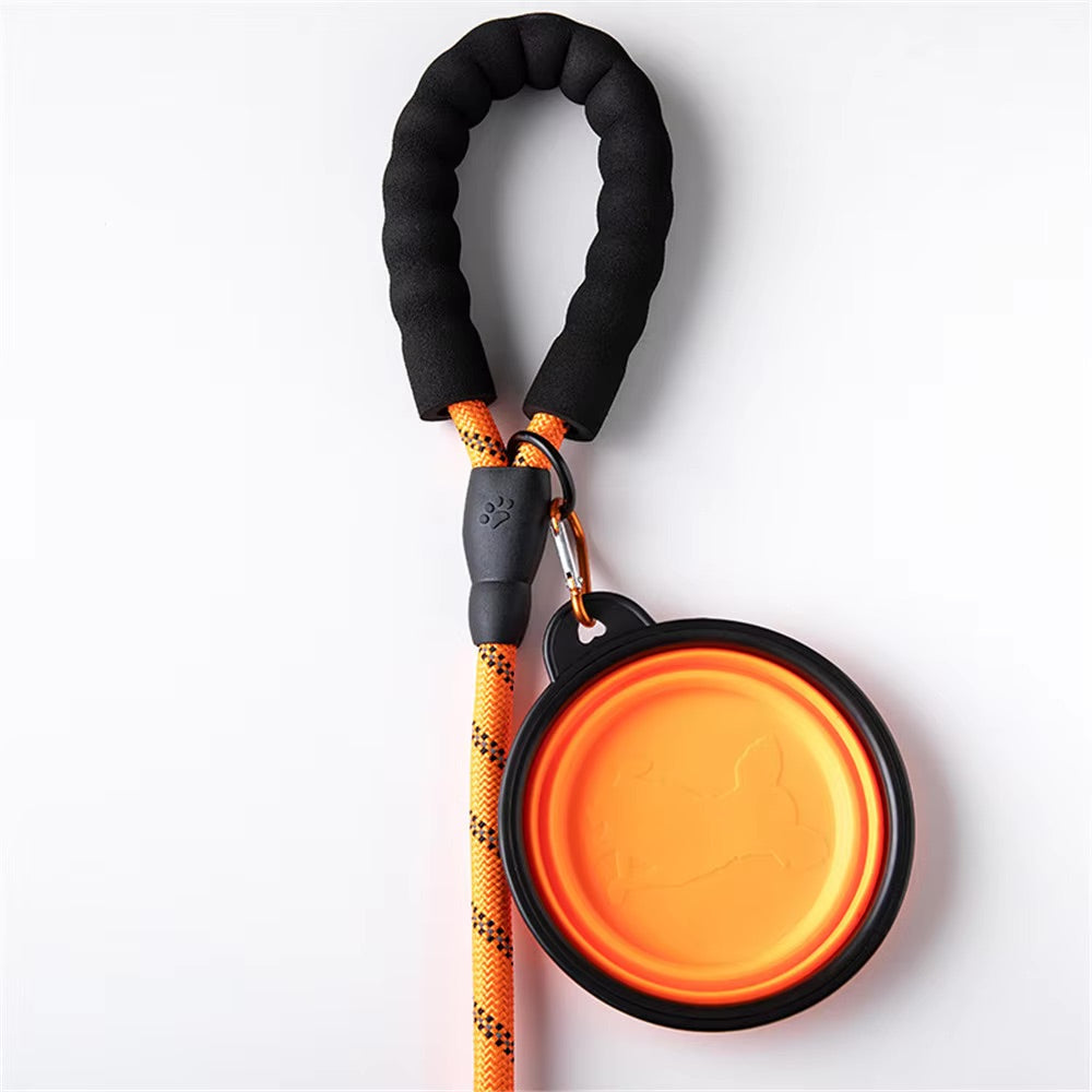 Reflective Dog Leash for Night Walks