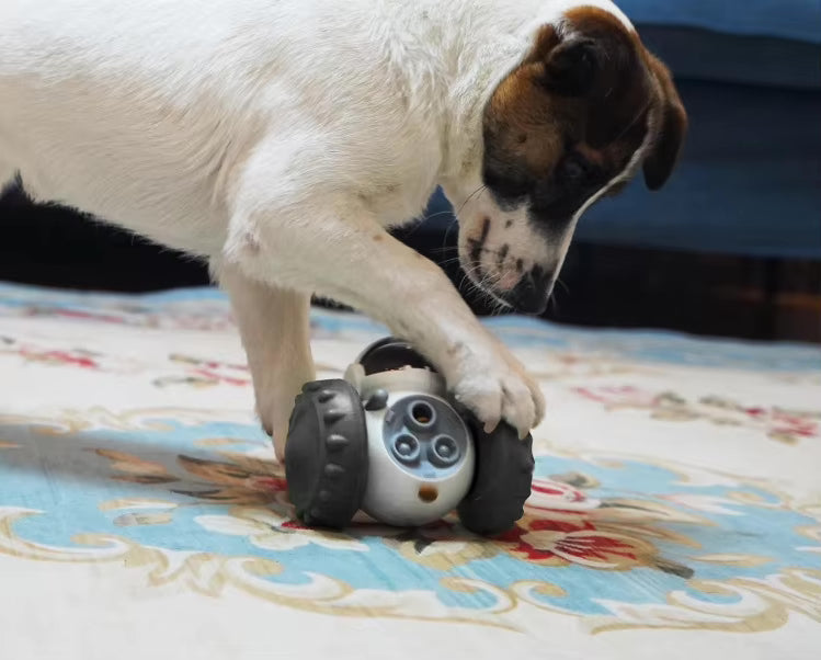 Pet Robot Slow Feeder Toy