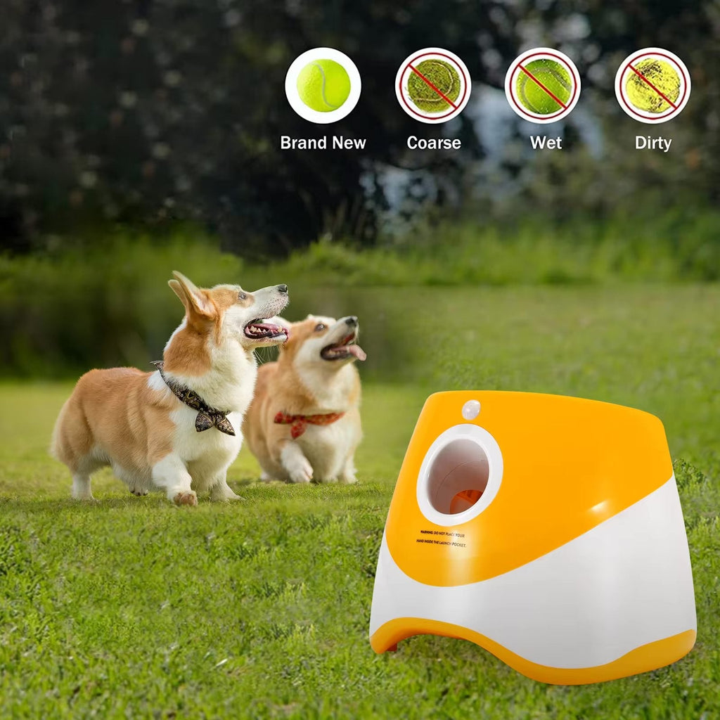 Automatic Dog Ball Launcher Toy