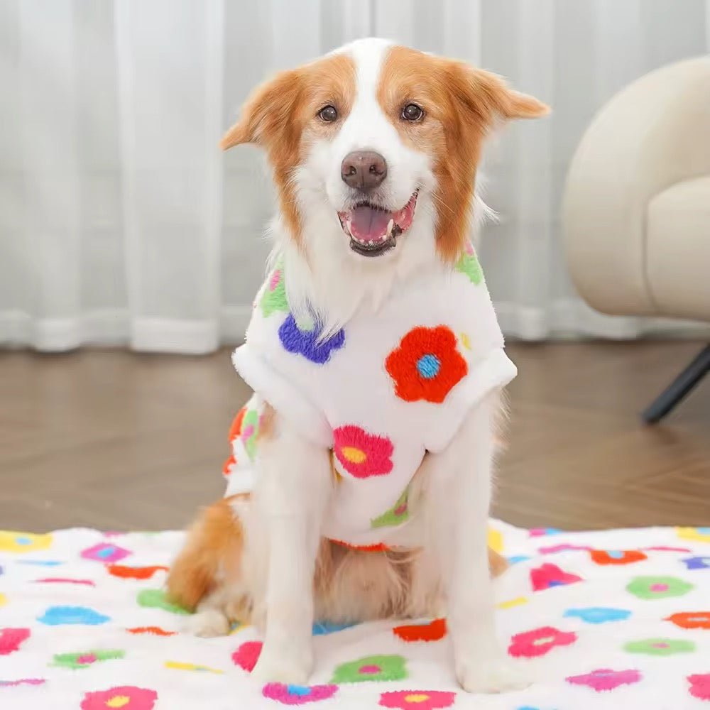 Spring Time Is Here Sweater – Dog Sweater