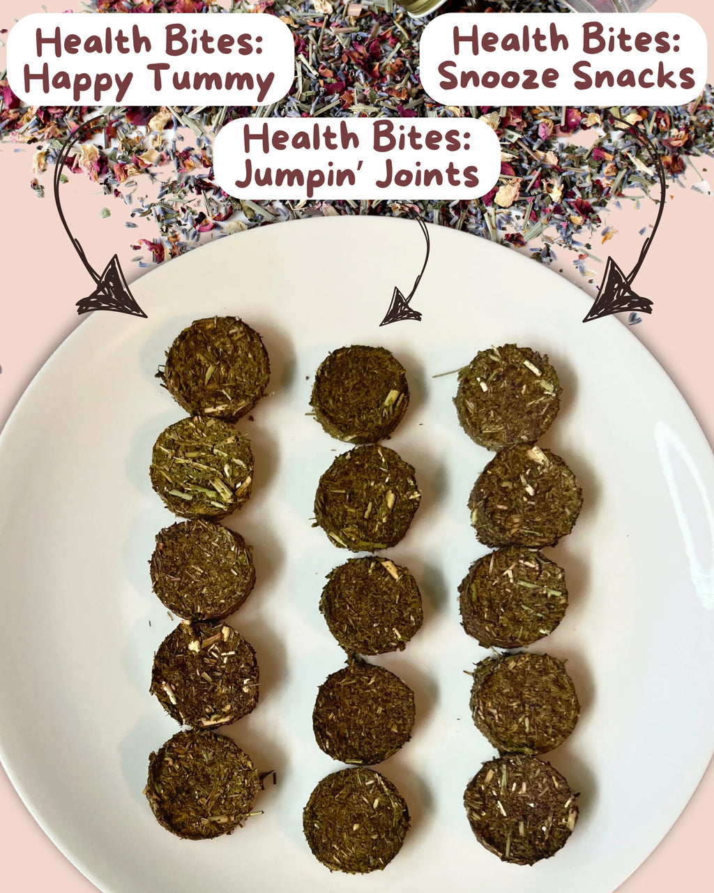 Health Bites: Snooze Snacks