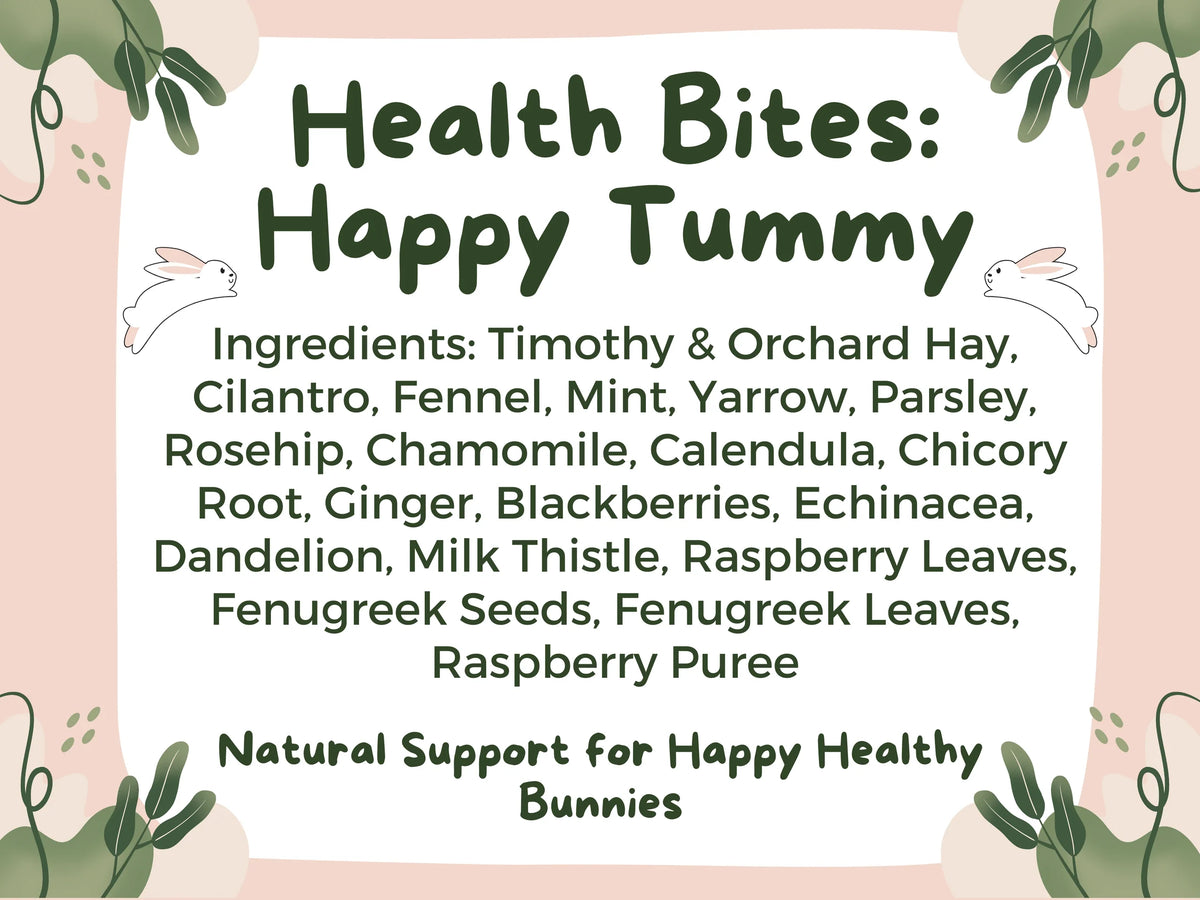 Health Bites: Happy Tummy