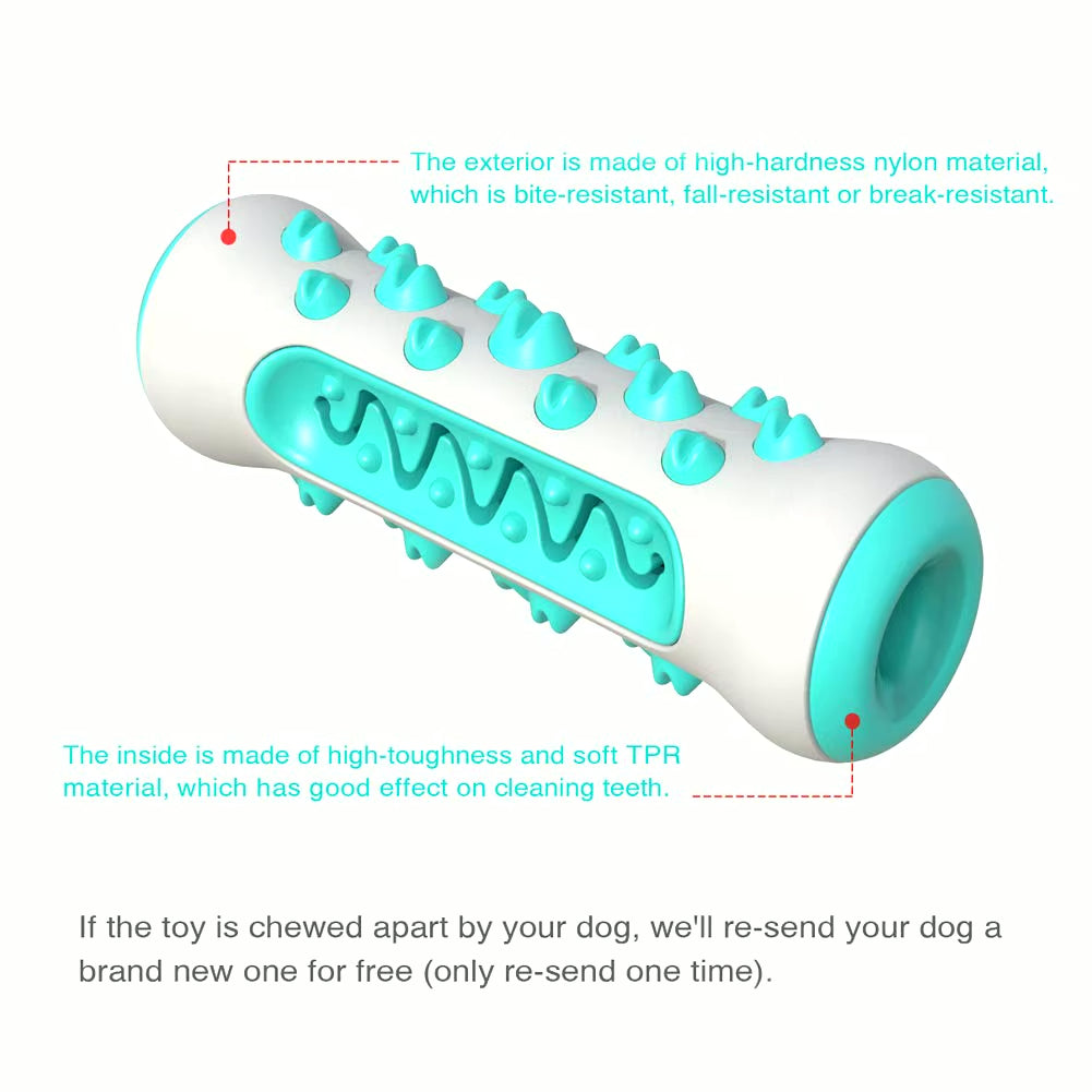 Dog Dental Health Chew Toy | Molar