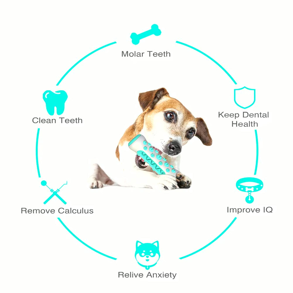 Dog Dental Health Chew Toy | Molar