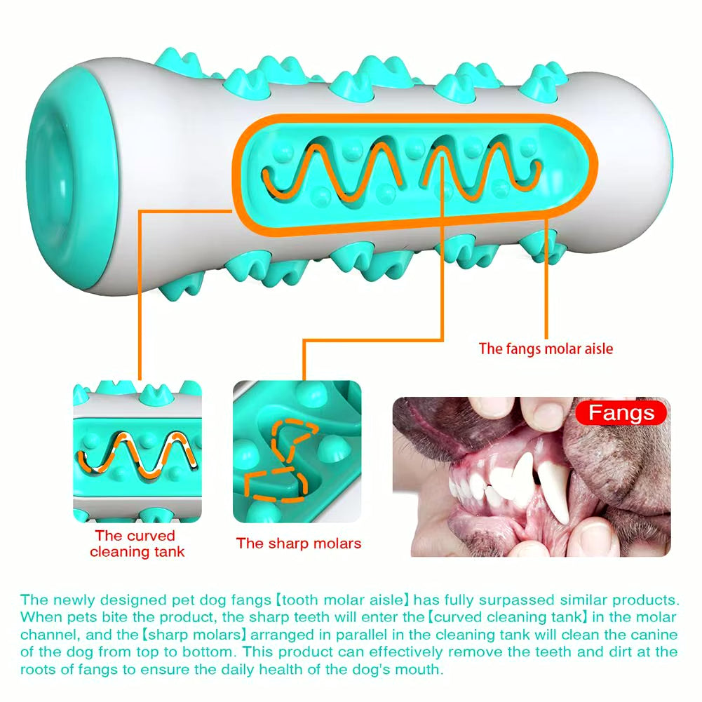 Dog Dental Health Chew Toy | Molar