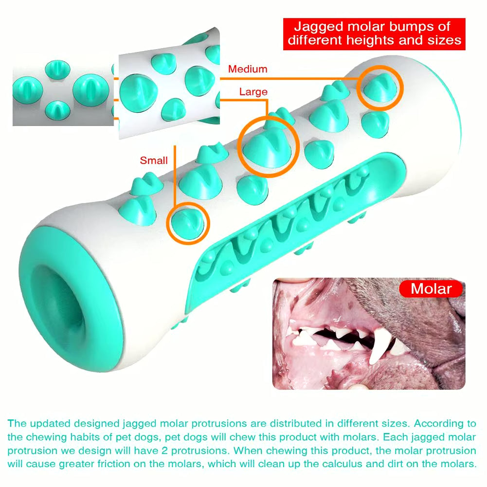 Dog Dental Health Chew Toy | Molar