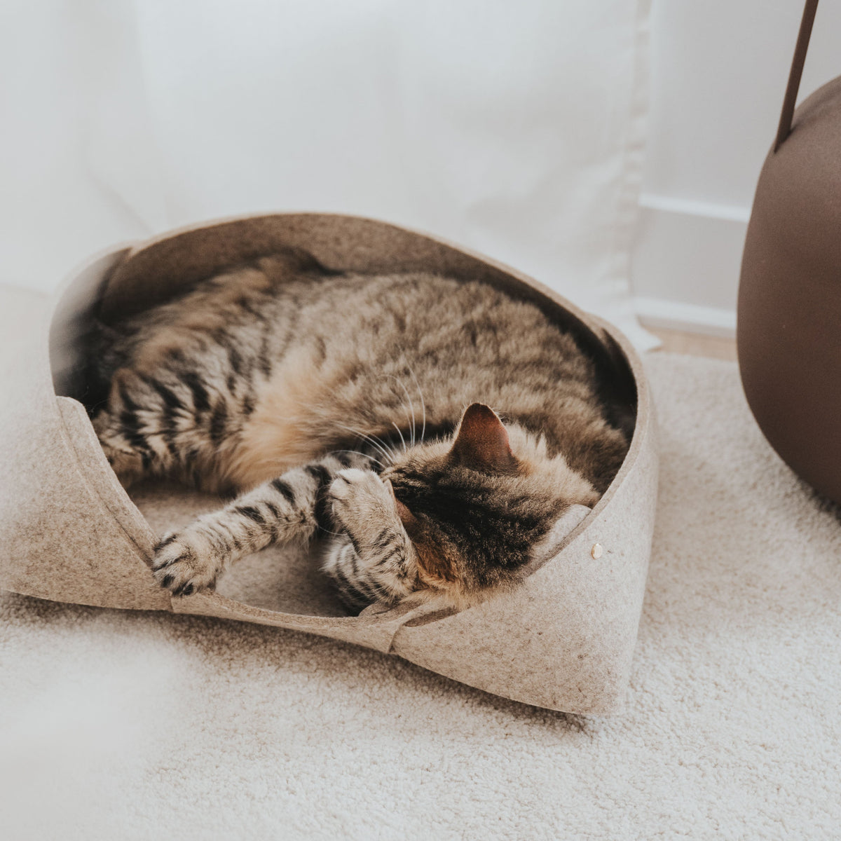 Panier pour animaux et maison en feutre de laine 17x13 | Design minimaliste | MATT™