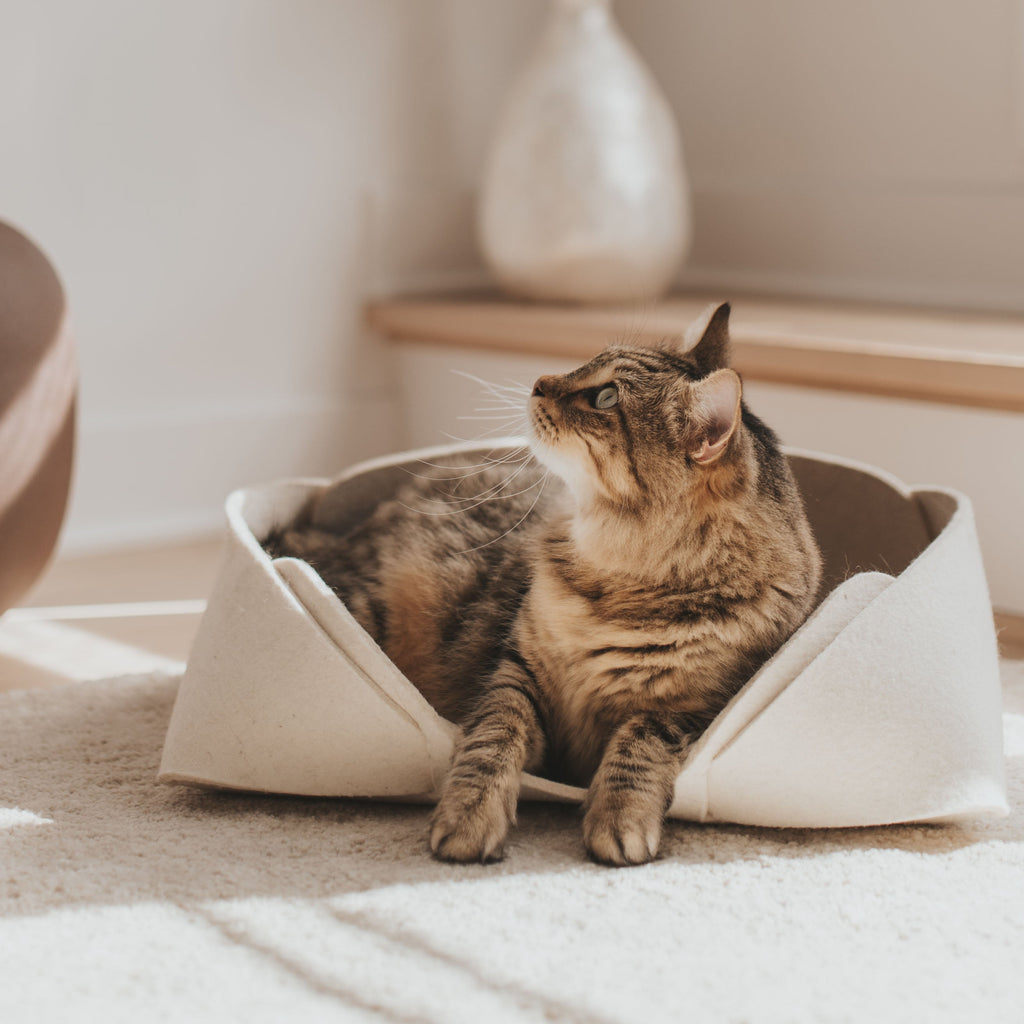 Panier pour animaux et maison en feutre de laine 17x13 | Design minimaliste | MATT™