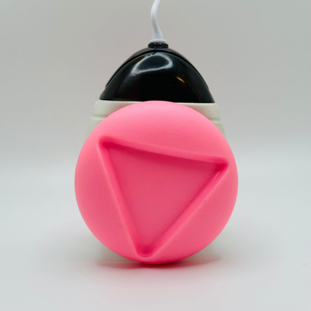 Pet Interactive Wobble Squeaky Toy