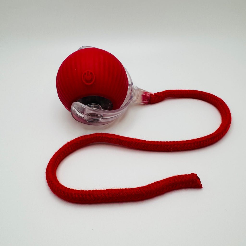 Pet Vibrating Bouncing Ball Toy with Tail