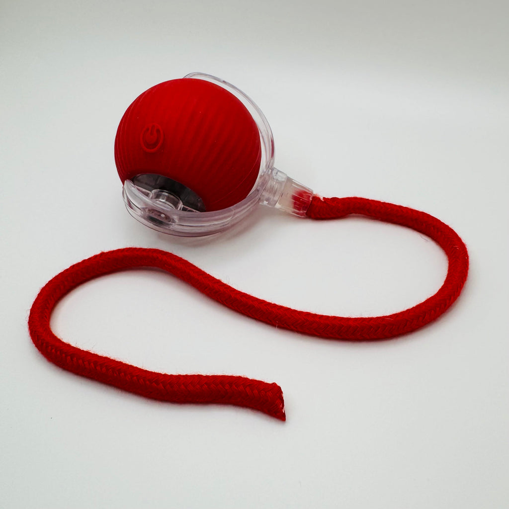 Pet Vibrating Bouncing Ball Toy with Tail