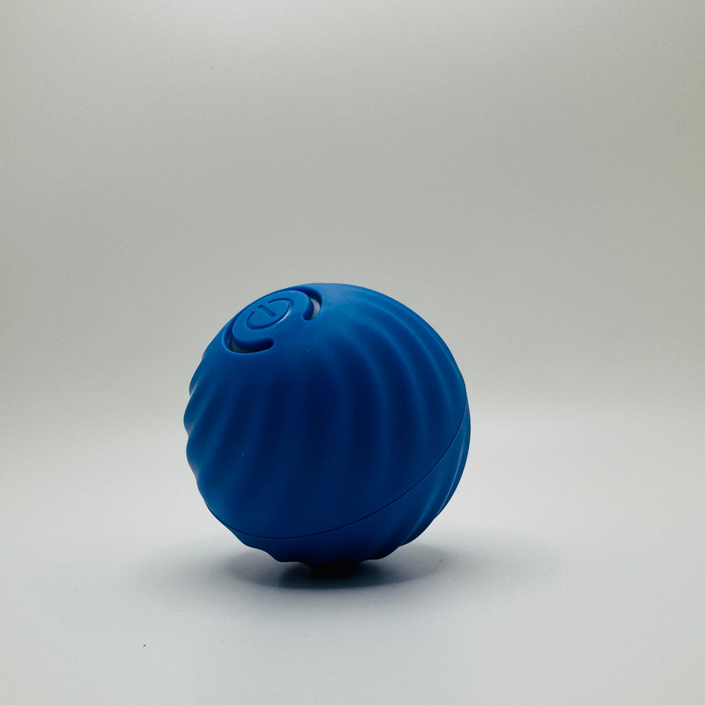 Pet Vibrating Ball Toy