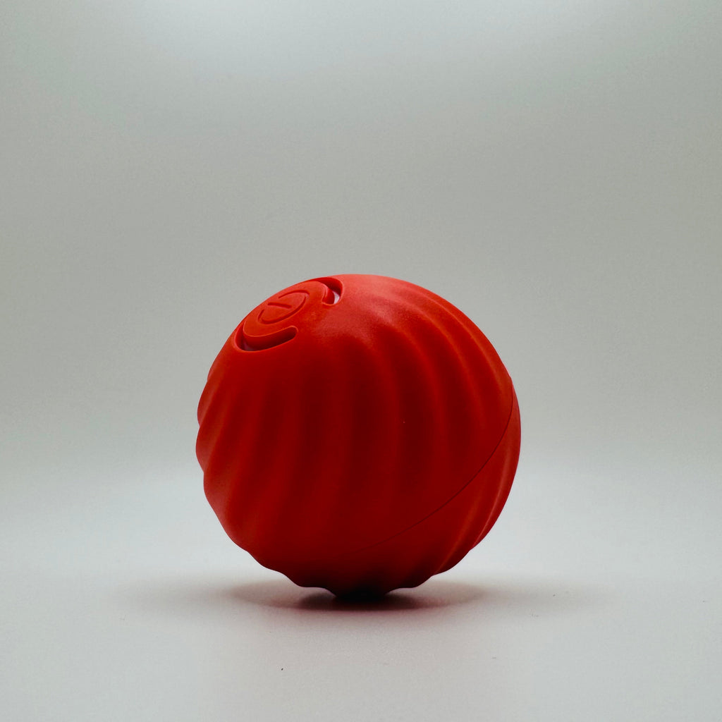 Pet Vibrating Ball Toy