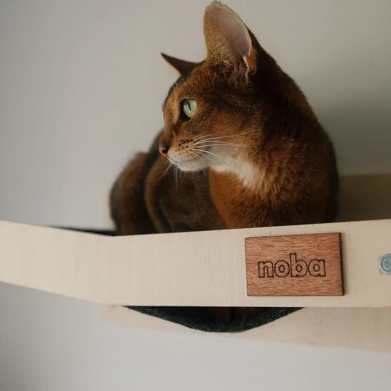 Wall Mounted Scratchable Cat Hammock