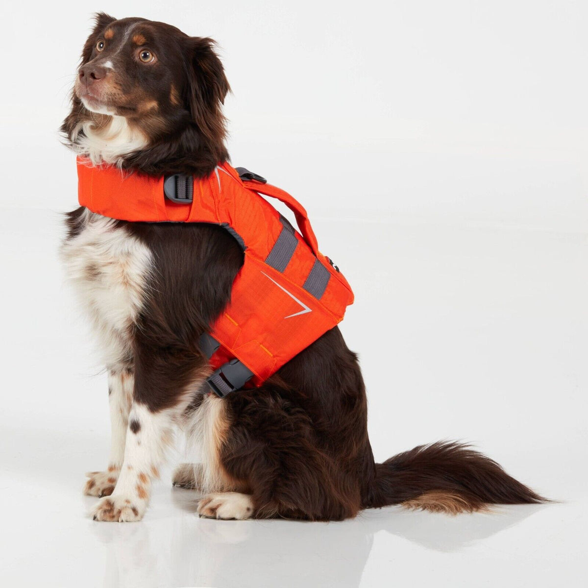NRS CFD Dog Life Jackets Size XL