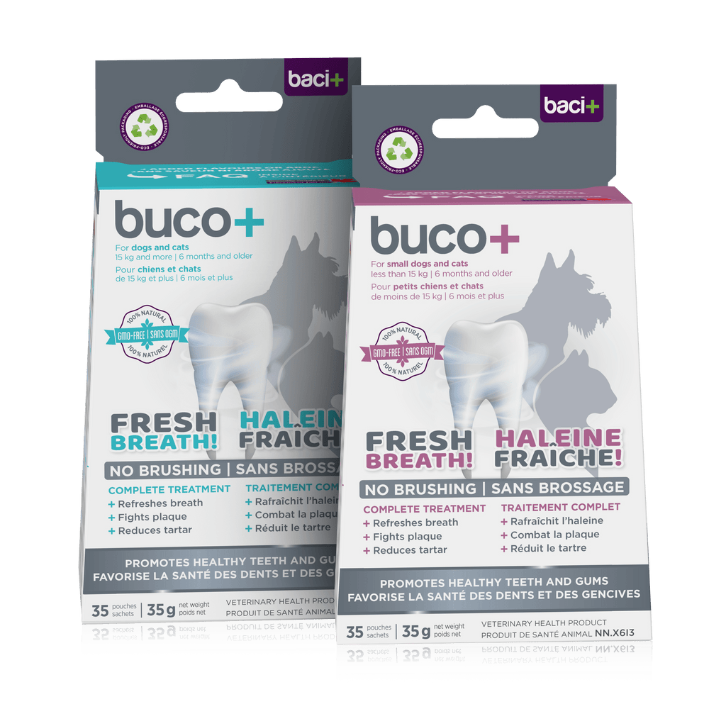 Buco+ 150mg – Soins Dentaires Naturels pour Chiens et Chats +15KG