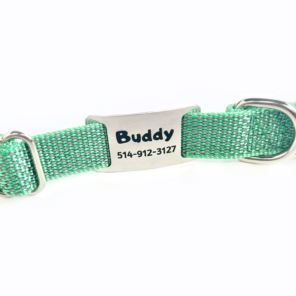 Médaille personnalisée pour animaux de compagnie