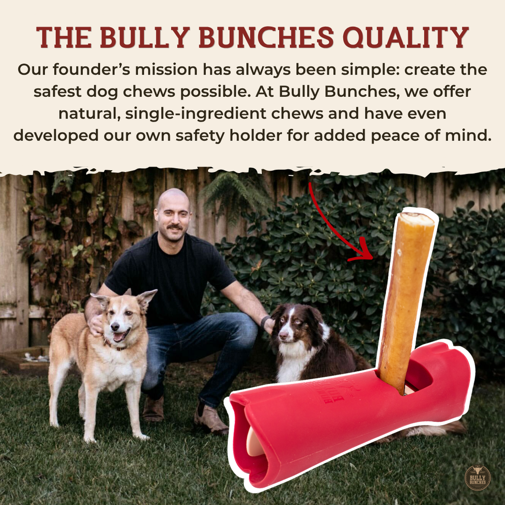12 Inch Standard Braided Bully Stick