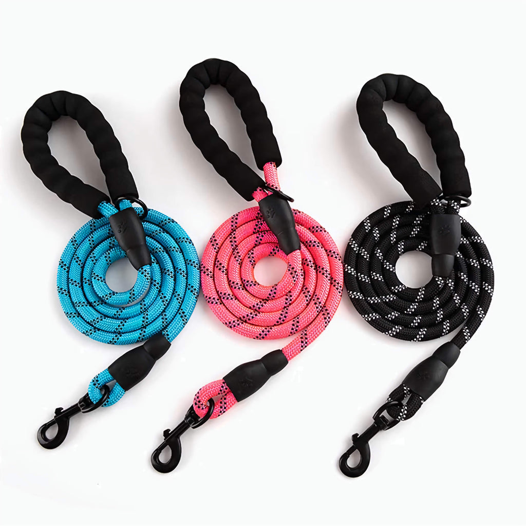 Reflective Dog Leash for Night Walks