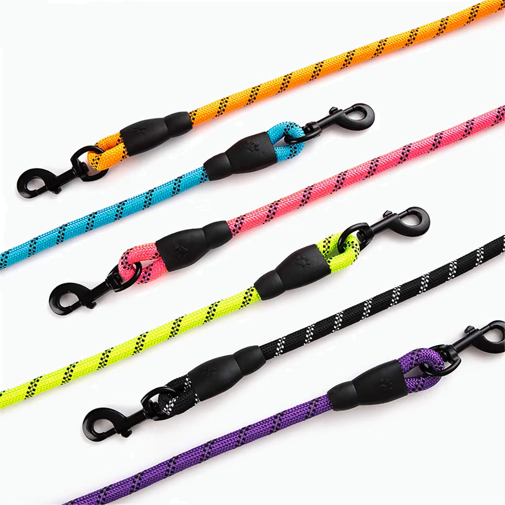 Reflective Dog Leash for Night Walks
