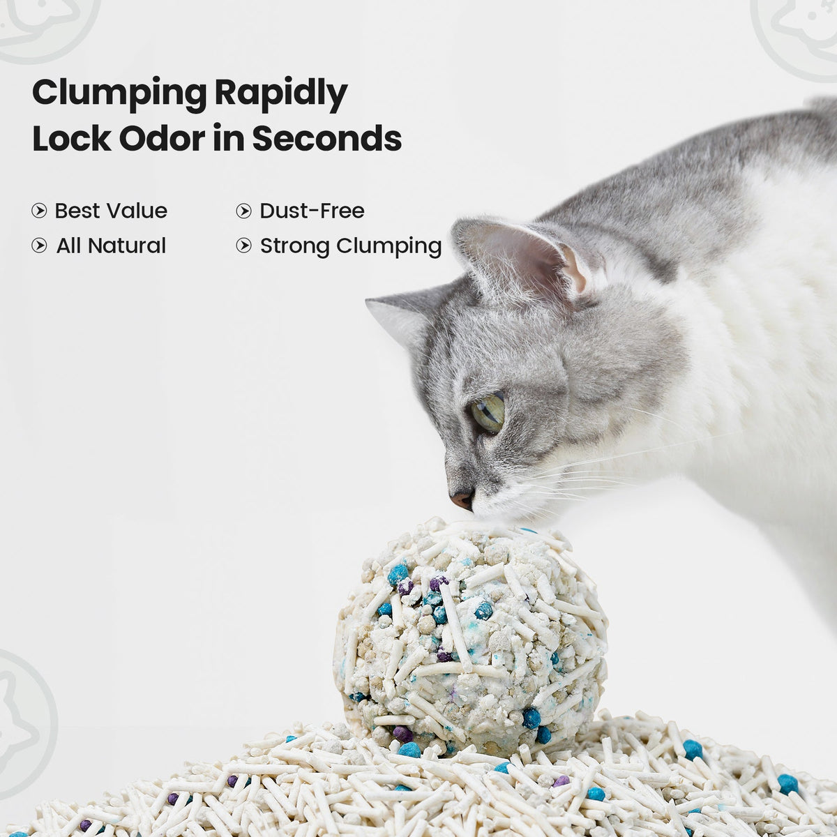 Green Tea Dust-Free Tofu Cat Litter Canada