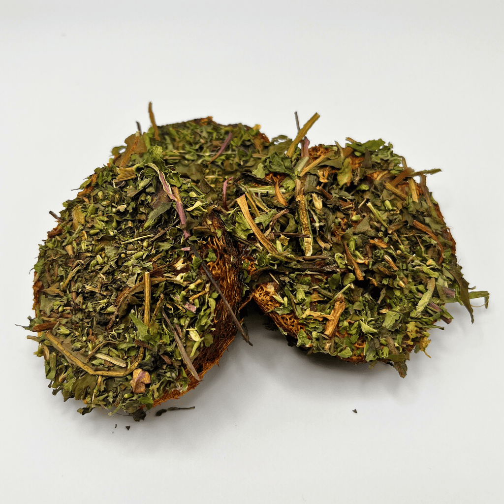 Dandelion Loofah Chews 2.0 for Bunnies