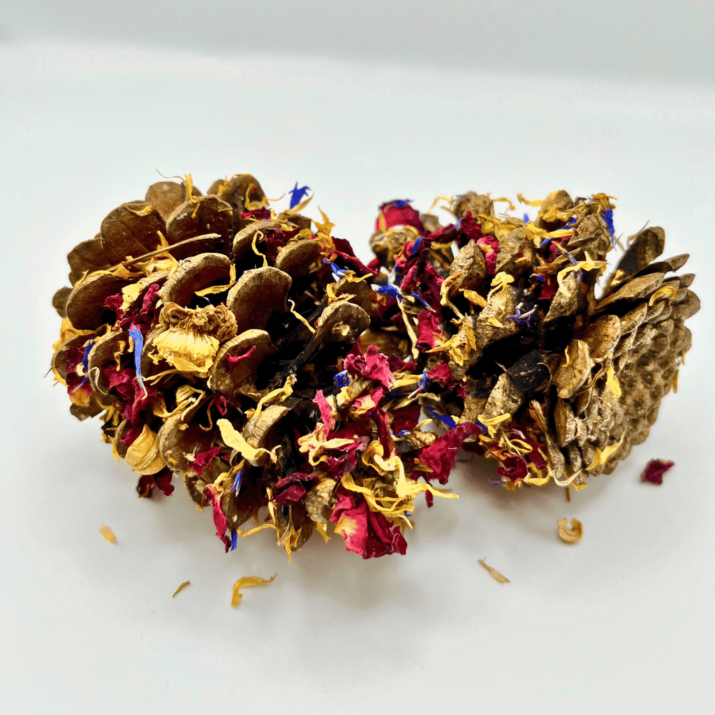 Floral-Dipped Pine Cones