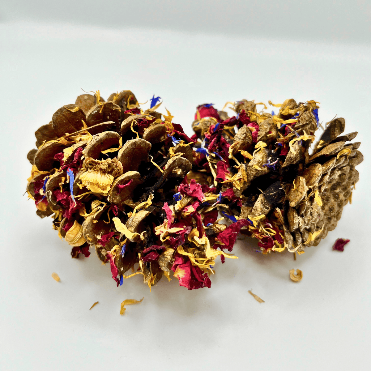 Floral-Dipped Pine Cones